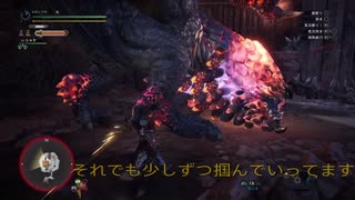 【MHW:IB】のんびり太刀を練習する【やまc】