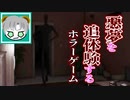 【実況】不気味を具現化した悪夢のホラーゲーム