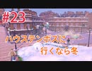 『ポケットモンスターシールド』英語版でプレイ Part23