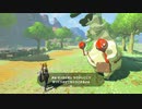 【Switch】リンクの記憶なしで成り行き旅【プレイ動画】part43