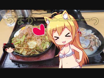 【NM4-02】 新弦巻マキと名所探訪 番外編「1分弱車載祭」