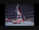 【IQHL】ビッグバン・ベイダー トリビュート【The Pain Game】