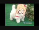愛犬ロボ「はあと」