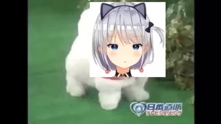 愛犬ロボ「雪姫りんご」