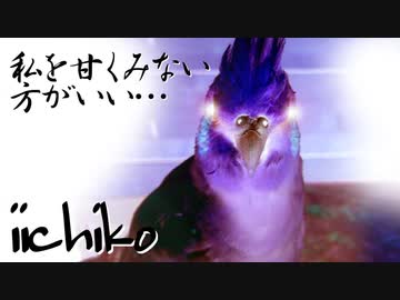 飼い主と戦う24歳のインコ