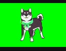 色違い黒井しばGB