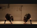 【せるらんか】ローリンガール【踊ってみた】
