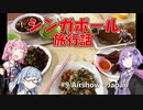 【葵茜紫】シンガポール旅行話 #9 Airshow(後編) - 帰国