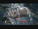 【DARKSOULS3】SL1縛りボス攻略：冷たい谷のボルド