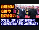 【海外の反応】 韓国の 2018国防白書 「北朝鮮は もはや敵ではない。」 本当に 大丈夫なのか？