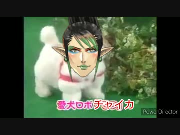 愛犬ロボ「チャイカ」