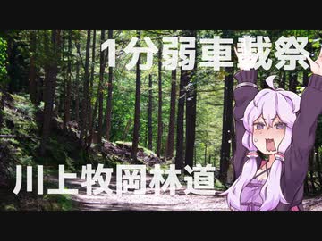 【１分弱車載祭】続：林道を1分弱で走り切れ！