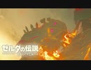 【ゼルダの伝説BotW】広い世界にワクワクしながら ゼルダの伝説BotW #27【実況】