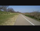 淀川河川公園(背割堤地区)を歩いてみた