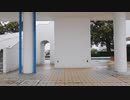 【桃月】プラトニック・ラヴ【踊ってみた】