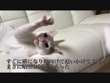 ウチューネコチャン、秘技・暗黒盆踊りを披露する