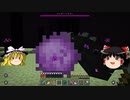 マイクラで海の水ぜんぶ抜く大作戦 ジ・エンド編1 ＃13【マインクラフト】