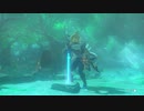【Switch】リンクの記憶なしで成り行き旅【プレイ動画】part45