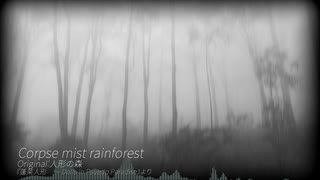 【東方自作アレンジ】Corpse mist rainforest 【人形の森】