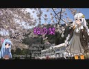 【歌うVOICEROID】桜の栞/ AKB48【紲星あかり】【琴葉葵】