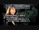 反日は批判して反独は鵜呑みにする薄情な保守（サラのチャンネル拡散支援）
