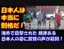 【海外の反応】 日本人の 規律ある姿が 海外で目撃され 賞賛の声が殺到！ 「日本人は本当に別格だ！」