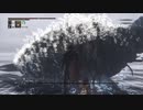 【レベル544】千景HPマイナス血晶でカンストボス攻略【Bloodborne】　05