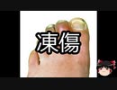 【ゆっくり朗読】ゆっくりさんと不思議な病気 その163