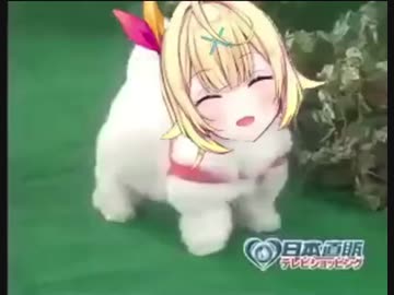 愛犬ロボ「星川サラ」