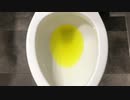 新型コロナウイルスをトイレに流してみた
