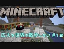 【実況プレイ】広大な世界で散歩しない【Minecraft】【第六回】#12