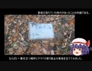 ゆっくり農民129畑を拓いてみませんか？#24