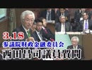 【西田昌司】3.18 参議院財政金融委員会～経済非常事態の税と財政と国民経済[R2/3/19]