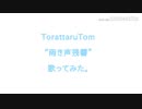 【雨き声残響】歌ってみた【TorattaruTom】【MVオリジナル】