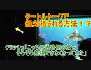 タートルトークでクラッシュに絶対指名される方法！？【東京ディズニーランド】