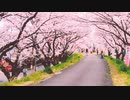 Steps in Spring !!!!