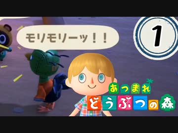 どう森大好きむらびとの無人島生活＃1【あつまれどうぶつの森/あつ森】