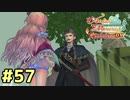 【メルルのアトリエ】最高の国を作る錬金術師を目指して【実況】Part57