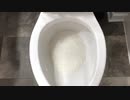 コロナビールをトイレに流してみた