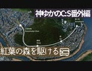 【前面展望】神になったゆかりのCities:Skylines #8.1