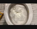 M&M'sとトイレットペーパーをトイレに流してみた