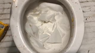 M&M'sとトイレットペーパーをトイレに流してみた