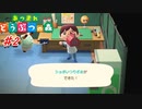 【あつまれどうぶつの森】はじめてのD.I.Y体験！