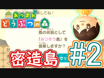 【あつまれ どうぶつの森】満員電車のない無人島で過ごすことにしました。part2