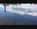 釣りガール降臨！てまきチャンネル！