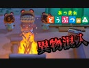 島にまで来るサイコパスがいるらしい【あつまれどうぶつの森】
