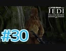 【JEDI FALLEN ORDER 】 ウーキーの清潔感が欠如しすぎててキモい♯30