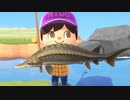 チョウザメＧＥＴだぜ！釣れる時期や時間も公開！【あつまれどうぶつの森】