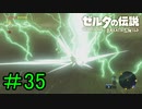 【実況】見落としが多い勇者の冒険part35【ブレスオブザワイルド】