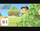 【あつまれ どうぶつの森】◇島の生活、はじめました！【#1】